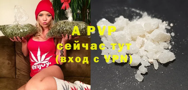 Alfa_PVP СК КРИС  Петушки 