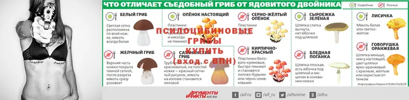 Псилоцибиновые грибы мицелий  где продают наркотики  ссылка на мегу онион  Петушки 